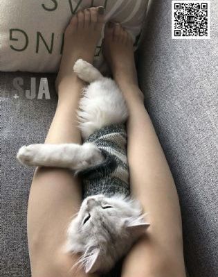 猎罪图鉴第二部在线观看