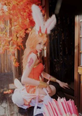 观鸟大年